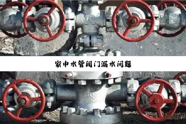 家中水管阀门漏水问题
