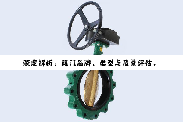 深度解析：阀门品牌、类型与质量评估，构筑家庭用水与工业安全防线