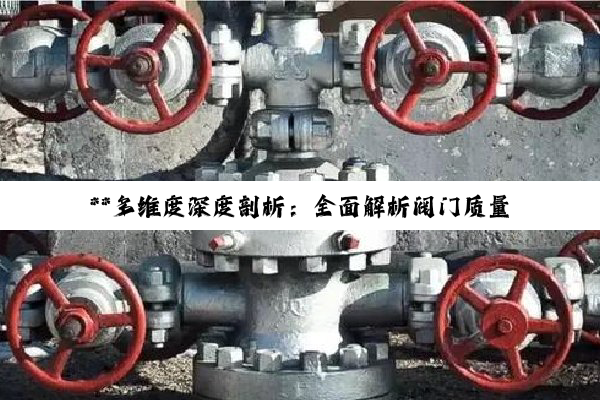 **多维度深度剖析：全面解析阀门质量鉴别之道**